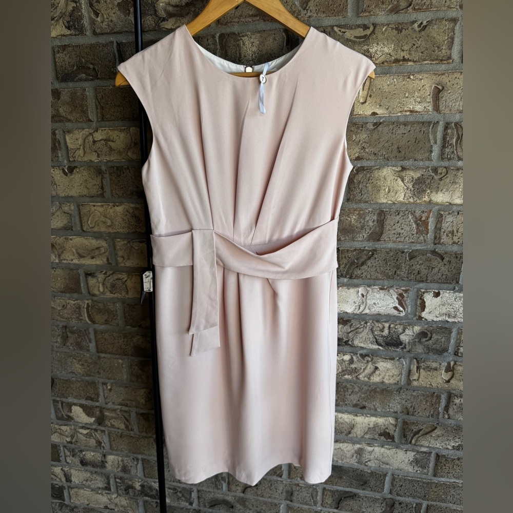 Ted Baker Blush Pink Adriene Sheath Dress Size 2